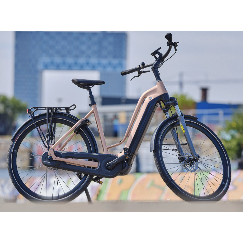 [MCVOE128X49W005177] **MULTICYCLE VOYAGE EMI D49 GOLDEN ROSE